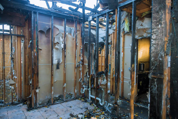 Professional Fire Damage Removal technician working in Randolph, WI